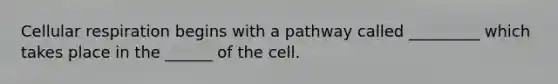 Cellular respiration begins with a pathway called _________ which takes place in the ______ of the cell.