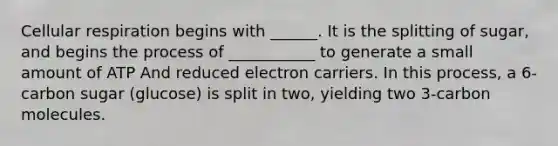 Cellular respiration begins with ______. It is the splitting of sugar, and begins the process of ___________ to generate a small amount of ATP And reduced electron carriers. In this process, a 6-carbon sugar (glucose) is split in two, yielding two 3-carbon molecules.