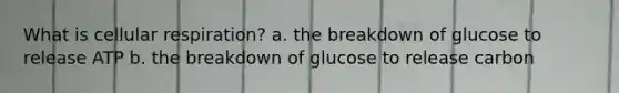 What is cellular respiration? a. the breakdown of glucose to release ATP b. the breakdown of glucose to release carbon