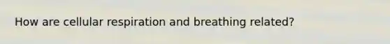 How are cellular respiration and breathing related?