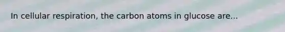In cellular respiration, the carbon atoms in glucose are...