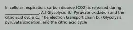 In cellular respiration, carbon dioxide (CO2) is released during __________________. A.) Glycolysis B.) Pyruvate oxidation and the citric acid cycle C.) The electron transport chain D.) Glycolysis, pyruvate oxidation, and the citric acid cycle