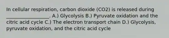 In cellular respiration, carbon dioxide (CO2) is released during __________________. A.) Glycolysis B.) Pyruvate oxidation and the citric acid cycle C.) The electron transport chain D.) Glycolysis, pyruvate oxidation, and the citric acid cycle