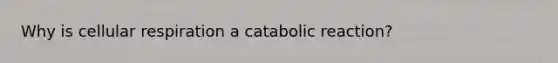 Why is cellular respiration a catabolic reaction?