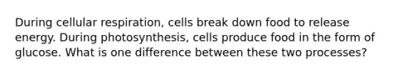 During cellular respiration, cells break down food to release energy. During photosynthesis, cells produce food in the form of glucose. What is one difference between these two processes?