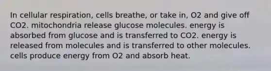 In cellular respiration, cells breathe, or take in, O2 and give off CO2. mitochondria release glucose molecules. energy is absorbed from glucose and is transferred to CO2. energy is released from molecules and is transferred to other molecules. cells produce energy from O2 and absorb heat.