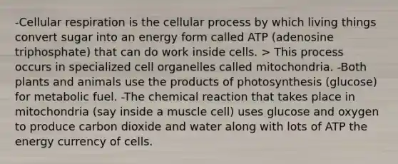 -Cellular respiration is the cellular process by which living things convert sugar into an energy form called ATP (adenosine triphosphate) that can do work inside cells. > This process occurs in specialized cell organelles called mitochondria. -Both plants and animals use the products of photosynthesis (glucose) for metabolic fuel. -The chemical reaction that takes place in mitochondria (say inside a muscle cell) uses glucose and oxygen to produce carbon dioxide and water along with lots of ATP the energy currency of cells.