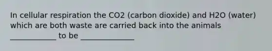 In cellular respiration the CO2 (carbon dioxide) and H2O (water) which are both waste are carried back into the animals ____________ to be ______________