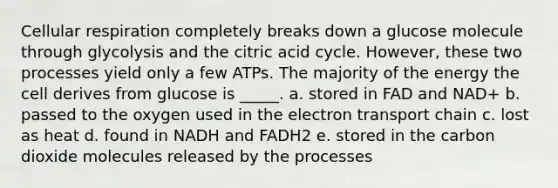 Cellular respiration completely breaks down a glucose molecule through glycolysis and the citric acid cycle. However, these two processes yield only a few ATPs. The majority of the energy the cell derives from glucose is _____. a. stored in FAD and NAD+ b. passed to the oxygen used in <a href='https://www.questionai.com/knowledge/k57oGBr0HP-the-electron-transport-chain' class='anchor-knowledge'>the electron transport chain</a> c. lost as heat d. found in NADH and FADH2 e. stored in the carbon dioxide molecules released by the processes