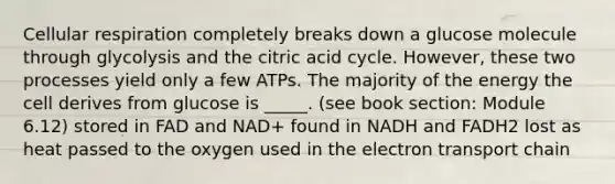 Cellular respiration completely breaks down a glucose molecule through glycolysis and the citric acid cycle. However, these two processes yield only a few ATPs. The majority of the energy the cell derives from glucose is _____. (see book section: Module 6.12) stored in FAD and NAD+ found in NADH and FADH2 lost as heat passed to the oxygen used in the electron transport chain