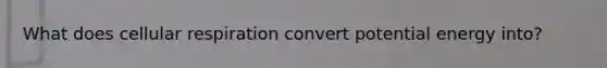 What does cellular respiration convert potential energy into?