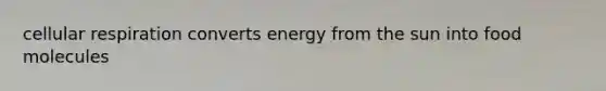 cellular respiration converts energy from the sun into food molecules