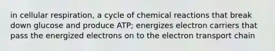 in cellular respiration, a cycle of <a href='https://www.questionai.com/knowledge/kc6NTom4Ep-chemical-reactions' class='anchor-knowledge'>chemical reactions</a> that break down glucose and produce ATP; energizes electron carriers that pass the energized electrons on to <a href='https://www.questionai.com/knowledge/k57oGBr0HP-the-electron-transport-chain' class='anchor-knowledge'>the electron transport chain</a>