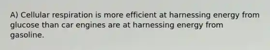 A) <a href='https://www.questionai.com/knowledge/k1IqNYBAJw-cellular-respiration' class='anchor-knowledge'>cellular respiration</a> is more efficient at harnessing energy from glucose than car engines are at harnessing energy from gasoline.