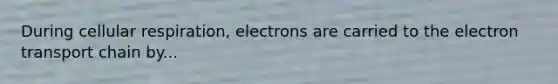 During cellular respiration, electrons are carried to the electron transport chain by...