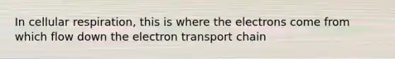 In cellular respiration, this is where the electrons come from which flow down the electron transport chain