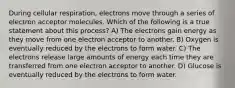 During cellular respiration, electrons move through a series of electron acceptor molecules. Which of the following is a true statement about this process? A) The electrons gain energy as they move from one electron acceptor to another. B) Oxygen is eventually reduced by the electrons to form water. C) The electrons release large amounts of energy each time they are transferred from one electron acceptor to another. D) Glucose is eventually reduced by the electrons to form water.