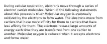 During cellular respiration, electrons move through a series of electron carrier molecules. Which of the following statements about this process is true? Molecular oxygen is eventually oxidized by the electrons to form water. The electrons move from carriers that have more affinity for them to carriers that have less affinity for them. The electrons release large amounts of energy each time they are transferred from one carrier to another. Molecular oxygen is reduced when it accepts electrons and forms water.