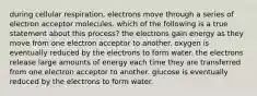 during cellular respiration, electrons move through a series of electron acceptor molecules. which of the following is a true statement about this process? the electrons gain energy as they move from one electron acceptor to another. oxygen is eventually reduced by the electrons to form water. the electrons release large amounts of energy each time they are transferred from one electron acceptor to another. glucose is eventually reduced by the electrons to form water.