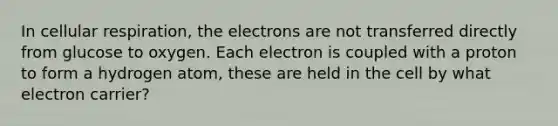 In cellular respiration, the electrons are not transferred directly from glucose to oxygen. Each electron is coupled with a proton to form a hydrogen atom, these are held in the cell by what electron carrier?