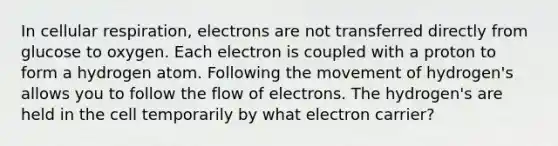 In <a href='https://www.questionai.com/knowledge/k1IqNYBAJw-cellular-respiration' class='anchor-knowledge'>cellular respiration</a>, electrons are not transferred directly from glucose to oxygen. Each electron is coupled with a proton to form a hydrogen atom. Following the movement of hydrogen's allows you to follow the flow of electrons. The hydrogen's are held in the cell temporarily by what electron carrier?