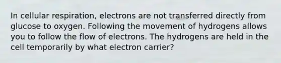 In <a href='https://www.questionai.com/knowledge/k1IqNYBAJw-cellular-respiration' class='anchor-knowledge'>cellular respiration</a>, electrons are not transferred directly from glucose to oxygen. Following the movement of hydrogens allows you to follow the flow of electrons. The hydrogens are held in the cell temporarily by what electron carrier?