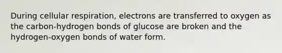 During cellular respiration, electrons are transferred to oxygen as the carbon-hydrogen bonds of glucose are broken and the hydrogen-oxygen bonds of water form.