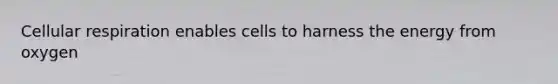 Cellular respiration enables cells to harness the energy from oxygen