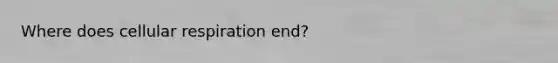 Where does cellular respiration end?