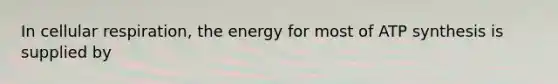 In cellular respiration, the energy for most of ATP synthesis is supplied by