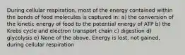 During cellular respiration, most of the energy contained within the bonds of food molecules is captured in: a) the conversion of the kinetic energy of food to the potential energy of ATP b) the Krebs cycle and electron transport chain c) digestion d) glycolysis e) None of the above. Energy is lost, not gained, during cellular respiration