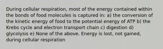 During cellular respiration, most of the energy contained within the bonds of food molecules is captured in: a) the conversion of the kinetic energy of food to the potential energy of ATP b) the Krebs cycle and electron transport chain c) digestion d) glycolysis e) None of the above. Energy is lost, not gained, during cellular respiration