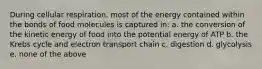 During cellular respiration, most of the energy contained within the bonds of food molecules is captured in: a. the conversion of the kinetic energy of food into the potential energy of ATP b. the Krebs cycle and electron transport chain c. digestion d. glycolysis e. none of the above