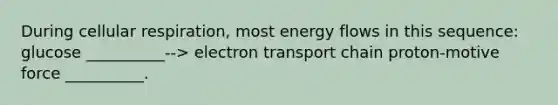 During cellular respiration, most energy flows in this sequence: glucose __________--> electron transport chain proton-motive force __________.