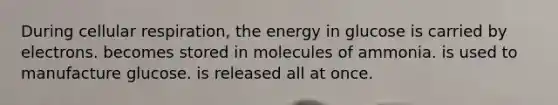 During <a href='https://www.questionai.com/knowledge/k1IqNYBAJw-cellular-respiration' class='anchor-knowledge'>cellular respiration</a>, the energy in glucose is carried by electrons. becomes stored in molecules of ammonia. is used to manufacture glucose. is released all at once.