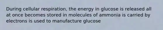 During cellular respiration, the energy in glucose is released all at once becomes stored in molecules of ammonia is carried by electrons is used to manufacture glucose