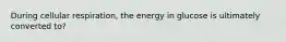 During cellular respiration, the energy in glucose is ultimately converted to?