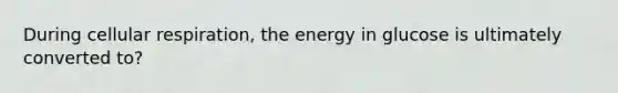 During cellular respiration, the energy in glucose is ultimately converted to?