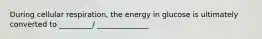 During cellular respiration, the energy in glucose is ultimately converted to _________/ ______________