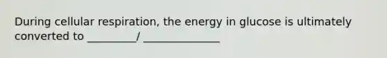 During cellular respiration, the energy in glucose is ultimately converted to _________/ ______________