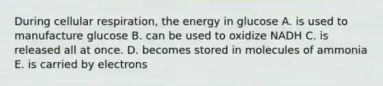 During cellular respiration, the energy in glucose A. is used to manufacture glucose B. can be used to oxidize NADH C. is released all at once. D. becomes stored in molecules of ammonia E. is carried by electrons