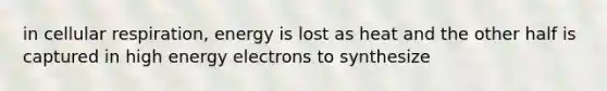 in cellular respiration, energy is lost as heat and the other half is captured in high energy electrons to synthesize