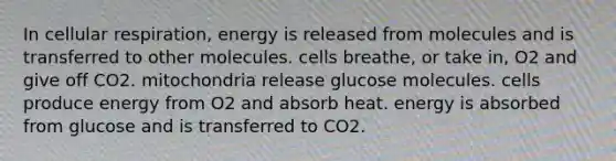 In <a href='https://www.questionai.com/knowledge/k1IqNYBAJw-cellular-respiration' class='anchor-knowledge'>cellular respiration</a>, energy is released from molecules and is transferred to other molecules. cells breathe, or take in, O2 and give off CO2. mitochondria release glucose molecules. cells produce energy from O2 and absorb heat. energy is absorbed from glucose and is transferred to CO2.