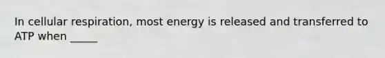 In cellular respiration, most energy is released and transferred to ATP when _____