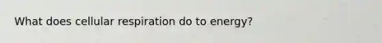 What does cellular respiration do to energy?