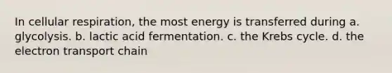 In cellular respiration, the most energy is transferred during a. glycolysis. b. lactic acid fermentation. c. the Krebs cycle. d. the electron transport chain