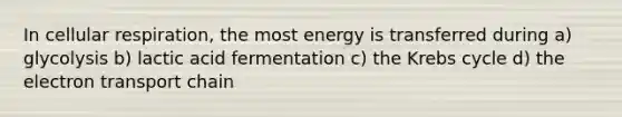 In cellular respiration, the most energy is transferred during a) glycolysis b) lactic acid fermentation c) the <a href='https://www.questionai.com/knowledge/kqfW58SNl2-krebs-cycle' class='anchor-knowledge'>krebs cycle</a> d) <a href='https://www.questionai.com/knowledge/k57oGBr0HP-the-electron-transport-chain' class='anchor-knowledge'>the electron transport chain</a>