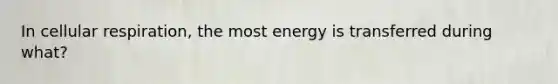 In cellular respiration, the most energy is transferred during what?