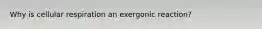 Why is cellular respiration an exergonic reaction?