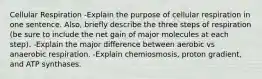 Cellular Respiration -Explain the purpose of cellular respiration in one sentence. Also, briefly describe the three steps of respiration (be sure to include the net gain of major molecules at each step). -Explain the major difference between aerobic vs anaerobic respiration. -Explain chemiosmosis, proton gradient, and ATP synthases.